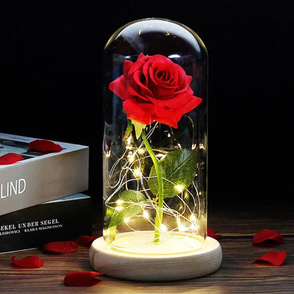 Glass Dome Display with Preserved Rose – Illuminated Home Decoration