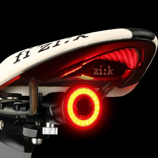 Bicycle and Racing Bike Tail Light with 6 Modes and Rechargeable Battery