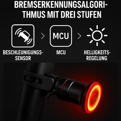 Bicycle and Racing Bike Tail Light with 6 Modes and Rechargeable Battery