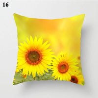 Sunflower 16