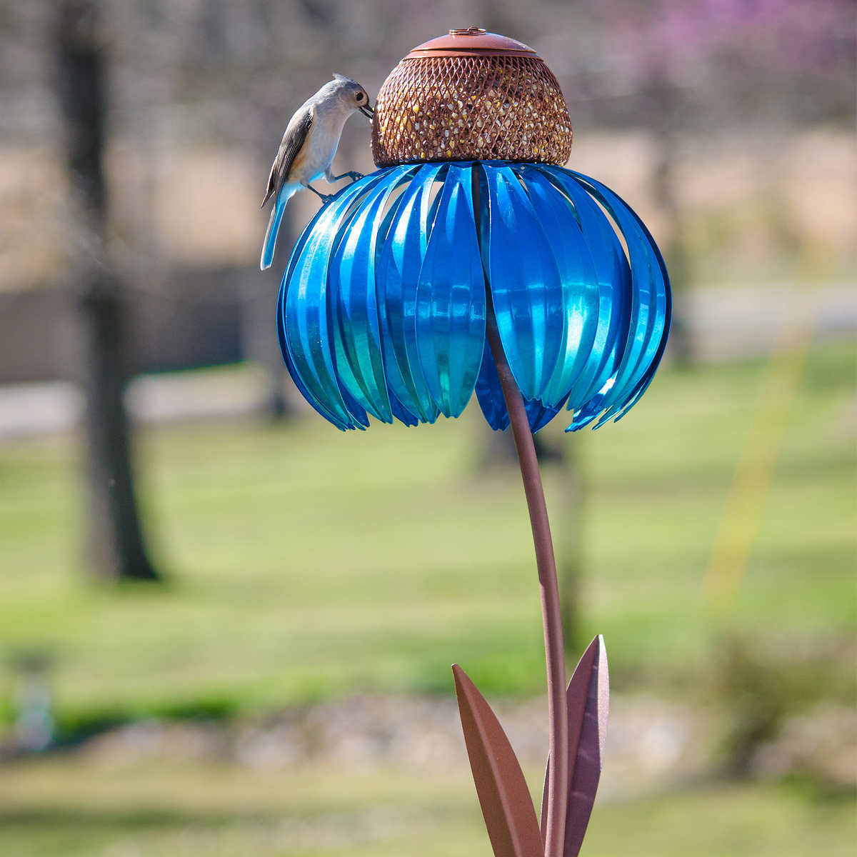 Bird Feeder House – 50% Off Today!