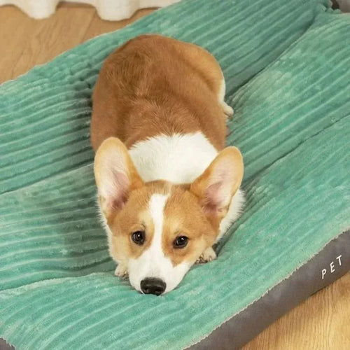 Comfortable Dog Bed for Puppies, Adults, and Seniors - Soft Supportive Design