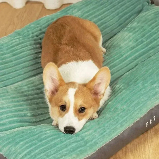Comfortable Dog Bed for Puppies, Adults, and Seniors - Soft Supportive Design