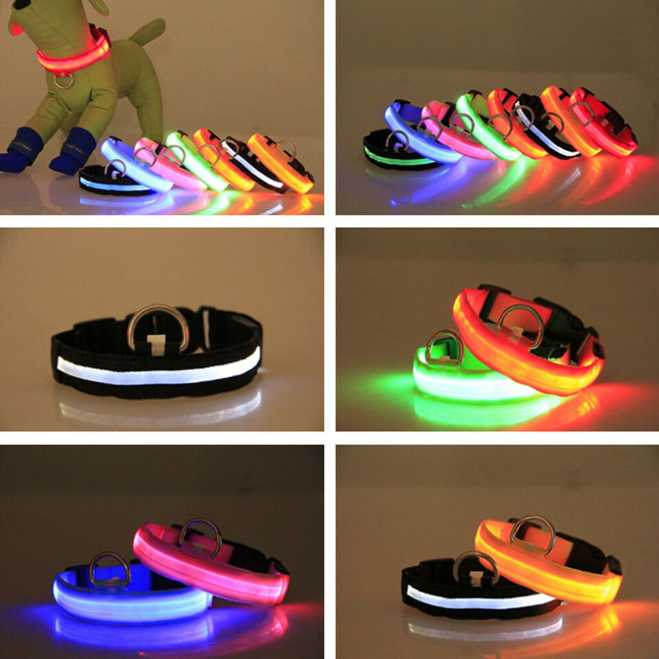 IlluminatePet Safety Collar for Nighttime Adventures