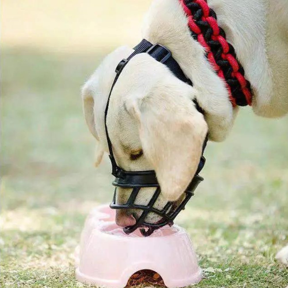 Comfort Control Muzzle for Calm and Happy Dogs