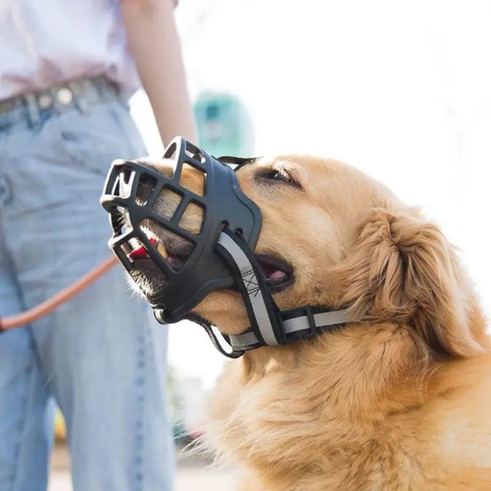 Comfort Control Muzzle for Calm and Happy Dogs