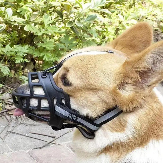 Comfort Control Muzzle for Calm and Happy Dogs