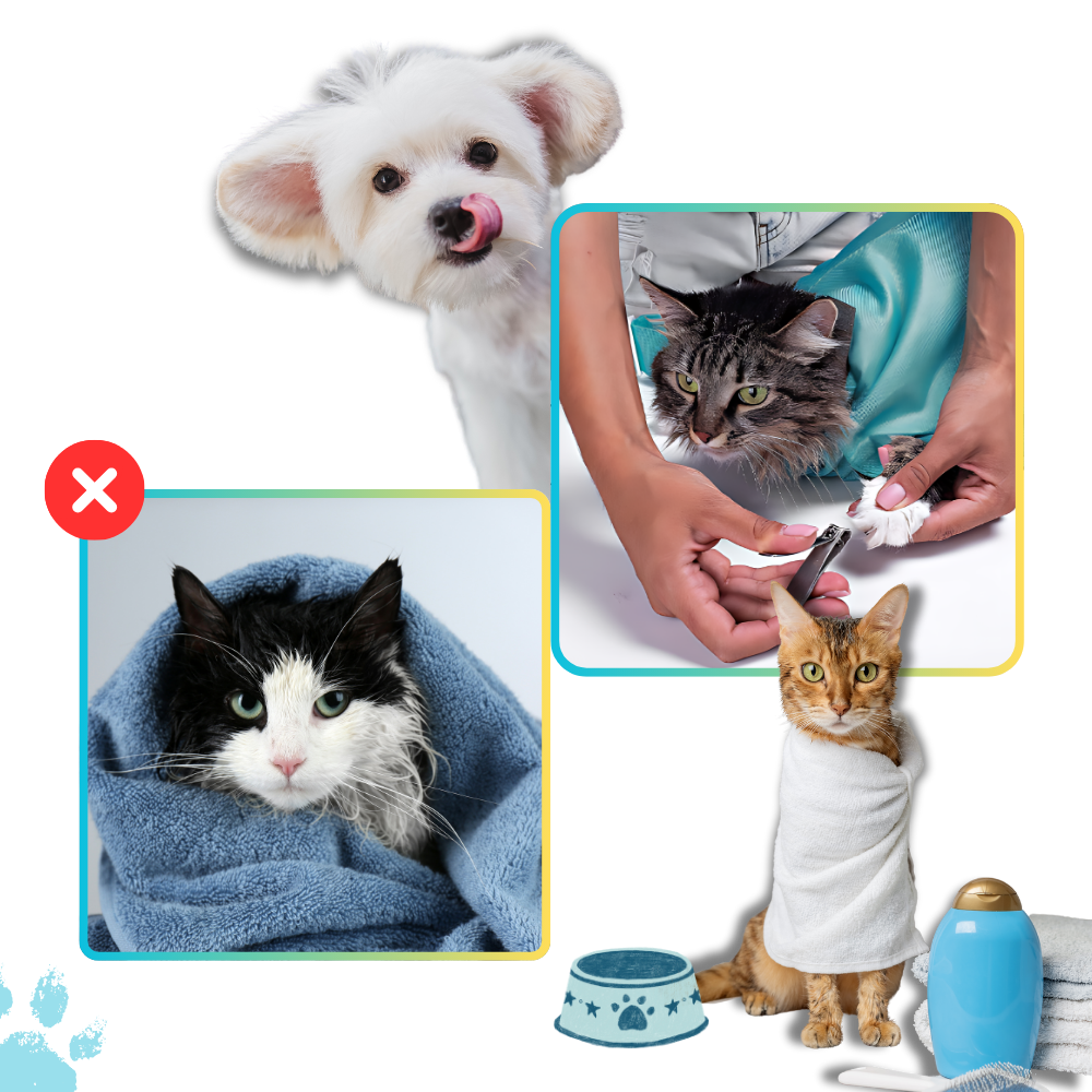 Cat Travel Bag for Peaceful Journeys
