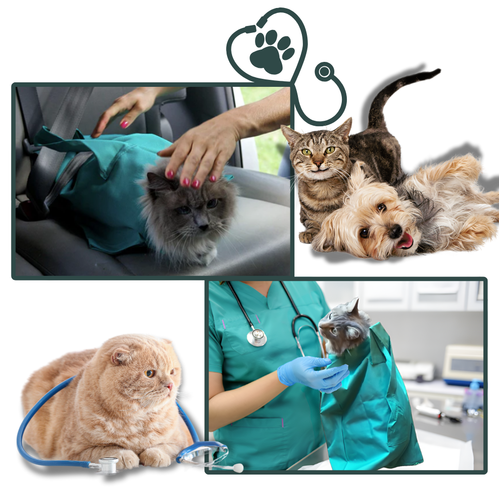 Cat Travel Bag for Peaceful Journeys
