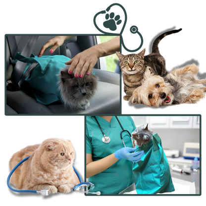 Cat Travel Bag for Peaceful Journeys