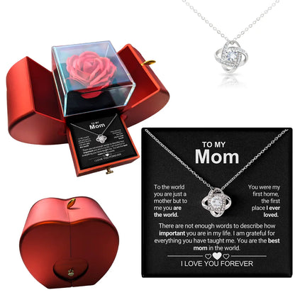 Eternal Bloom - Stunning Jewelry and Sentiment Set
