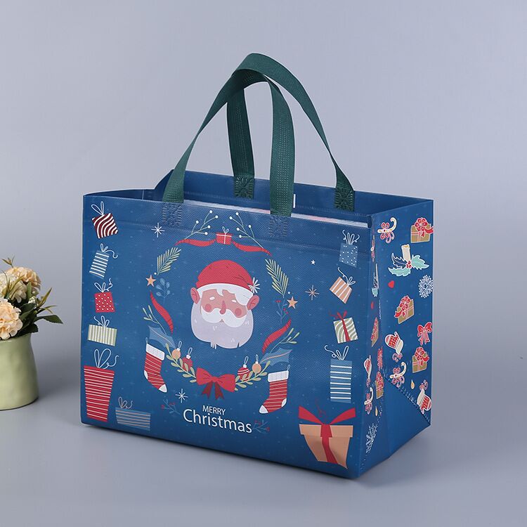 Colorful Holiday Gift Bags with Sturdy Handles - Assorted Designs