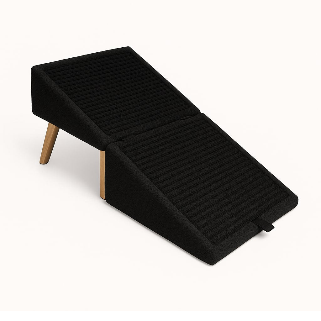 PawLift Access Ramp & Stool for Easy Pet Mobility