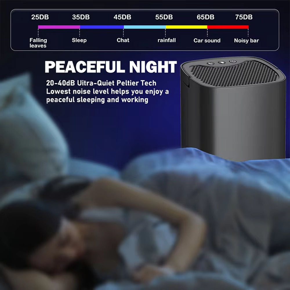 Compact Portable Dehumidifier for Home Use