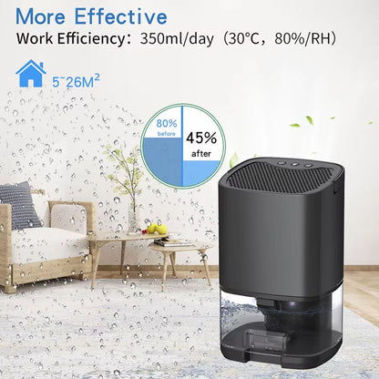 Compact Portable Dehumidifier for Home Use