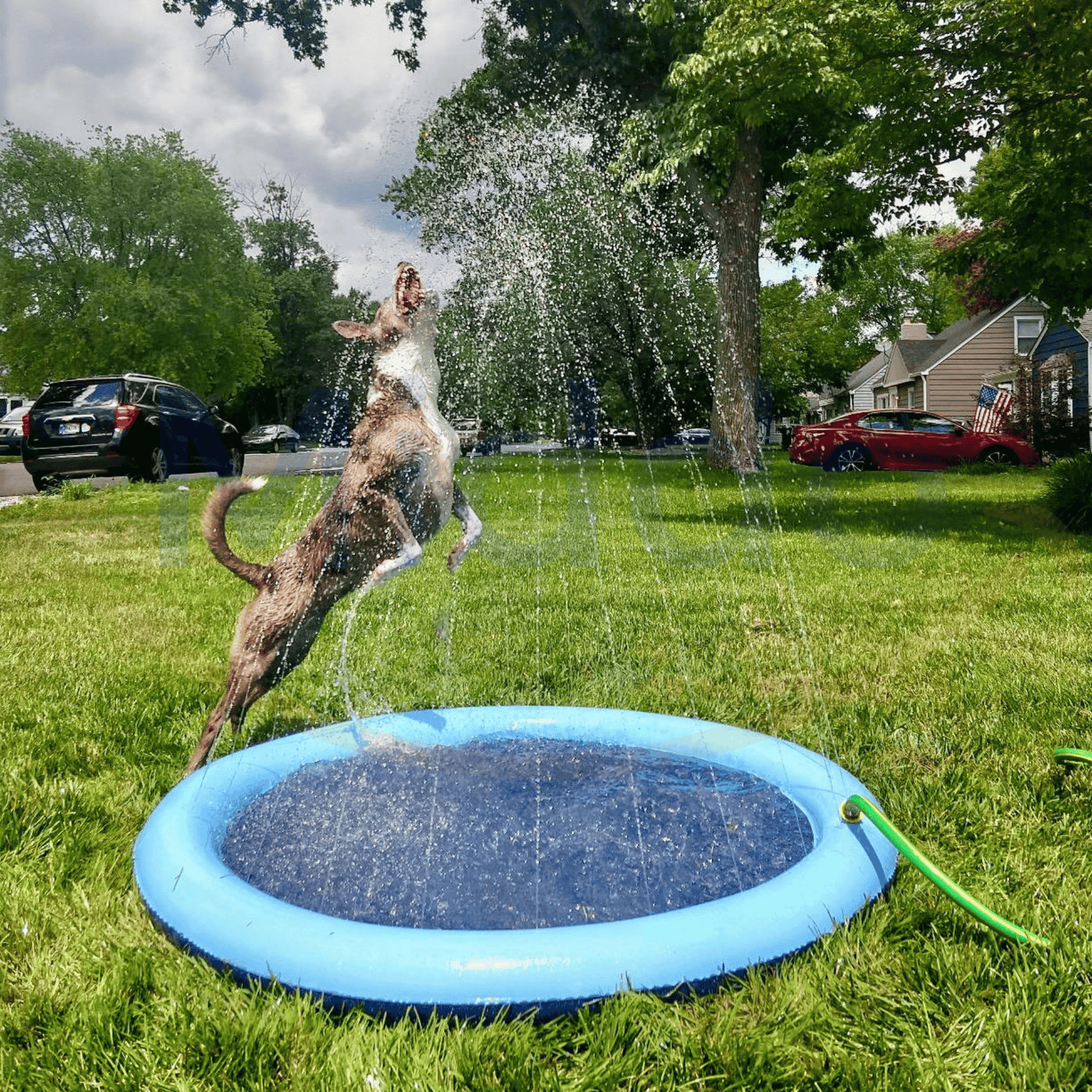 Water Spray Toy for Kids and Pets – Refreshing Fun