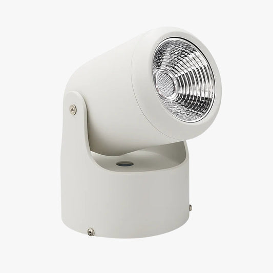Directional LED Spotlight (black or white)