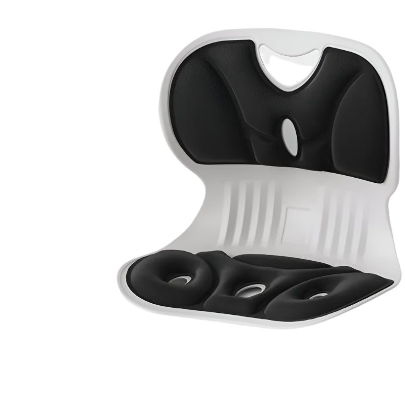 Ergonomic Lumbar Support Cushion in Memory Foam – Modern Design for Comfort