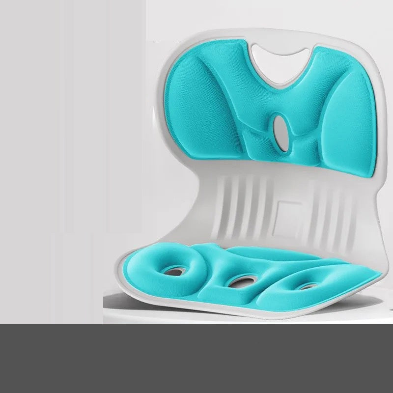 Ergonomic Lumbar Support Cushion in Memory Foam – Modern Design for Comfort