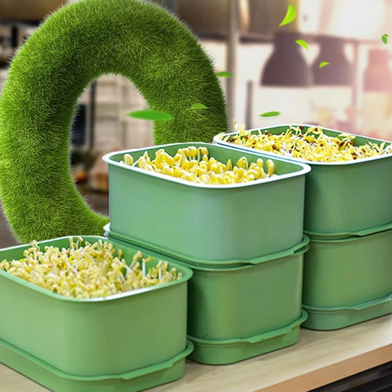 Grow Fresh Sprouts Daily – Buy One, Get One Free