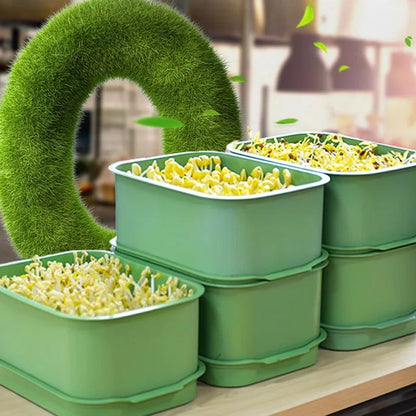 Grow Fresh Sprouts Daily – Buy One, Get One Free
