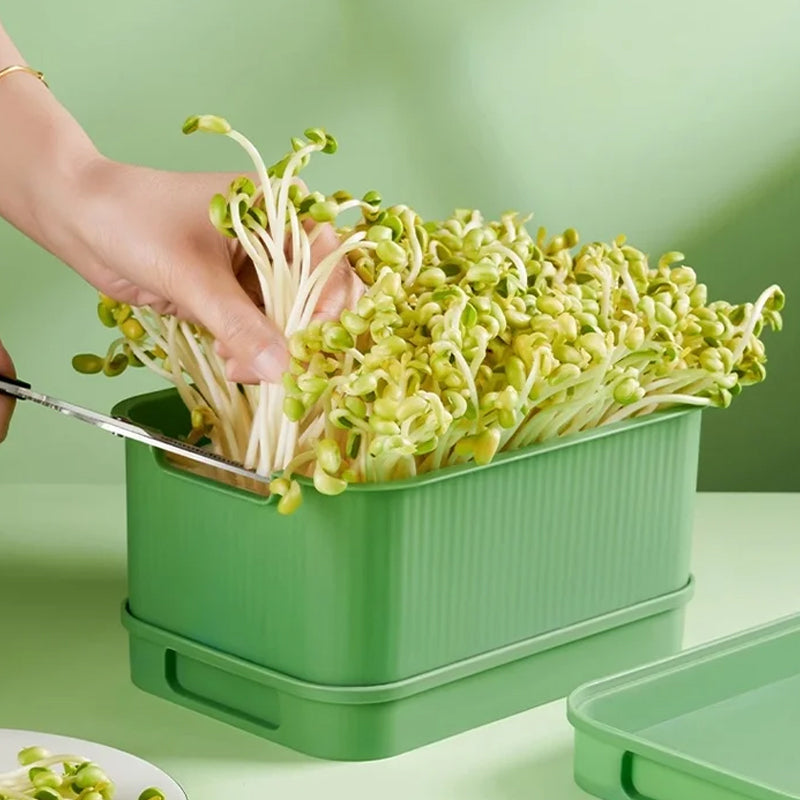 Grow Fresh Sprouts Daily – Buy One, Get One Free