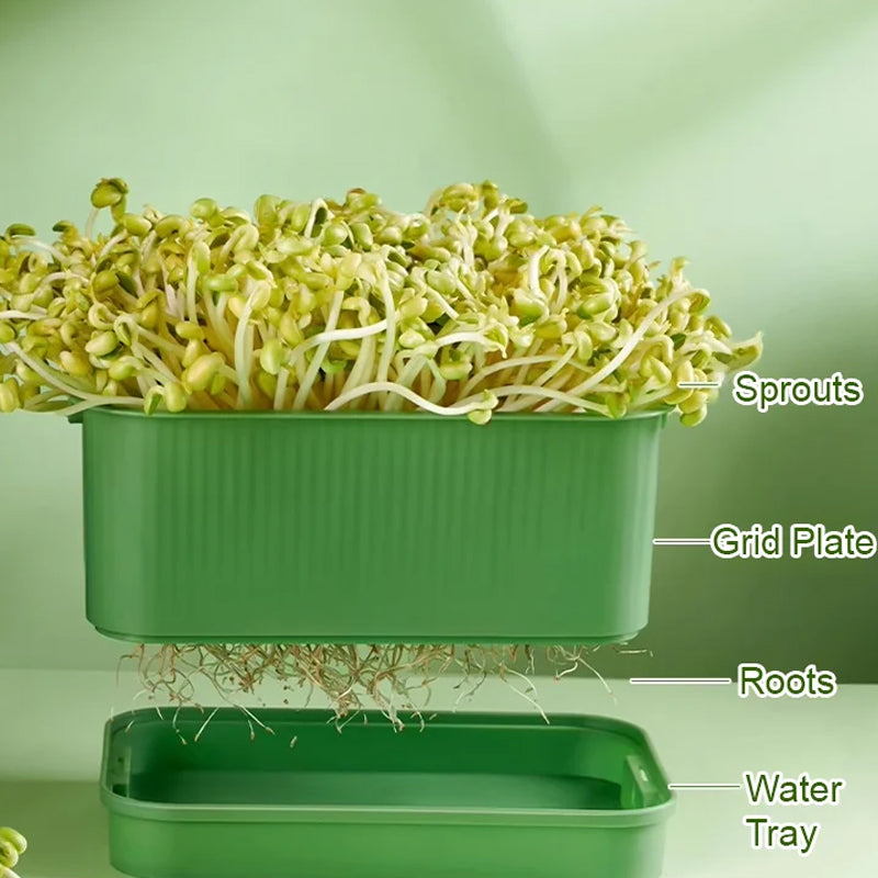 Grow Fresh Sprouts Daily – Buy One, Get One Free