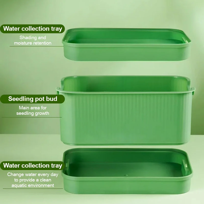 Grow Fresh Sprouts Daily – Buy One, Get One Free