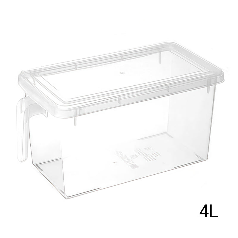 Clear Food Storage Container with Lid