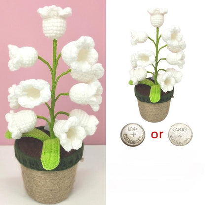 Transform Any Room with Cozy Ambient Lighting