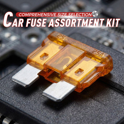 300-Piece Automotive Fuse Kit with Fuse Puller Included