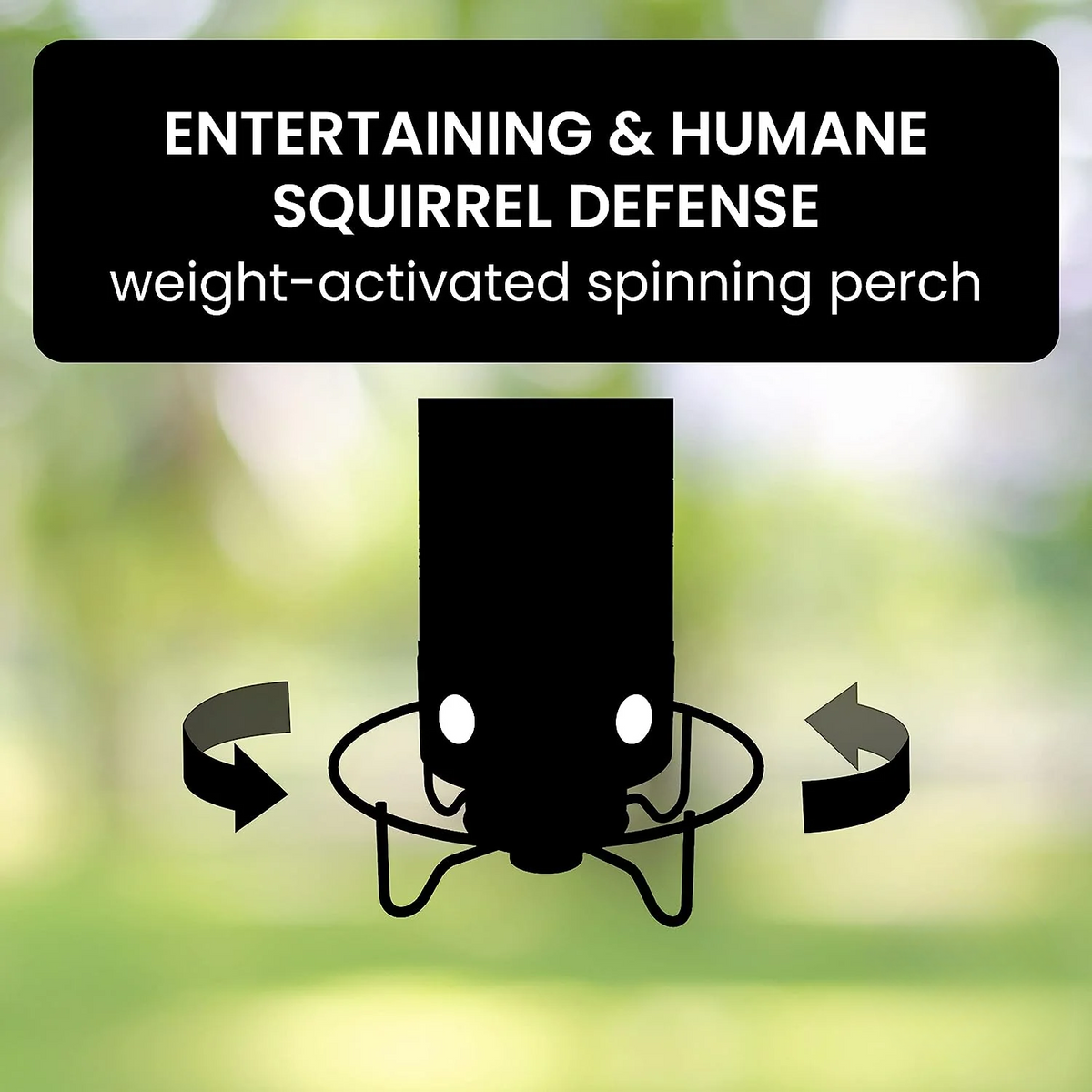 Innovative Squirrel-Resistant Bird Feeder with Rotating Perch