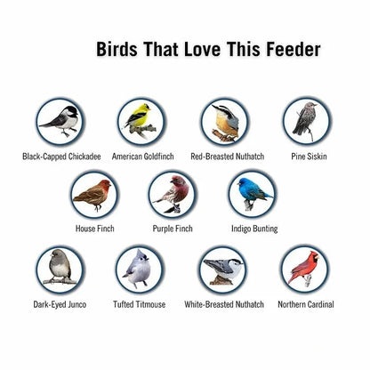 Innovative Squirrel-Resistant Bird Feeder with Rotating Perch