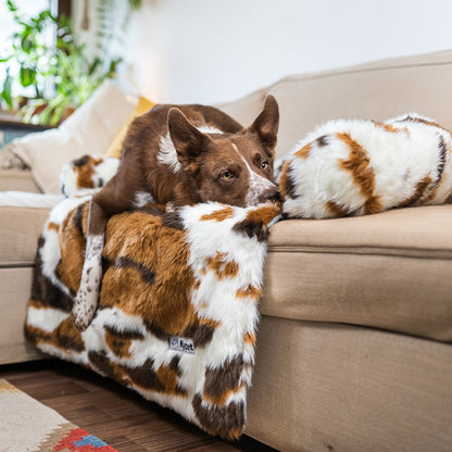 Washable, Warm, and Waterproof Autumn Cushion for Your Dog