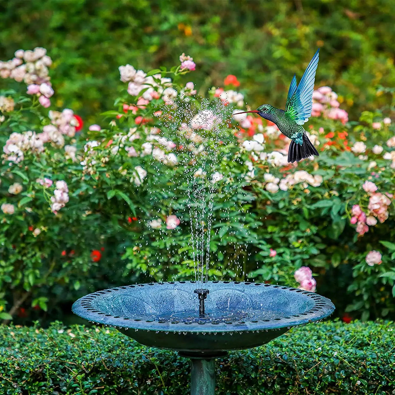 Bird Feeder with Adjustable Perches and Easy Clean Design