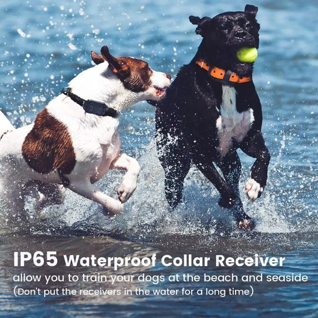 Waterproof Dog Training Collar – Safe and Effective