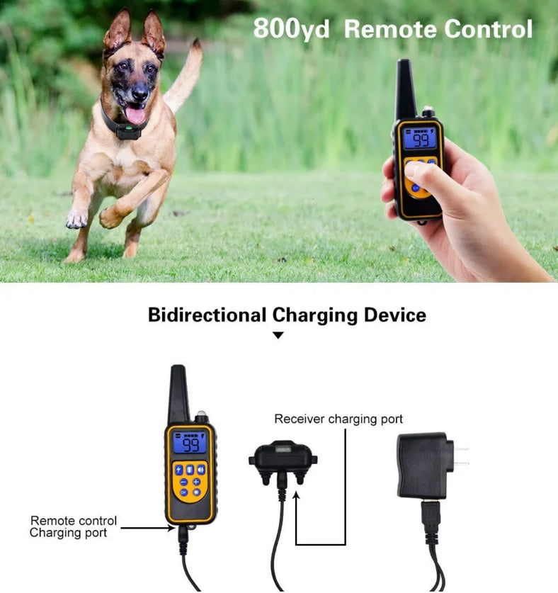 Waterproof Dog Training Collar – Safe and Effective