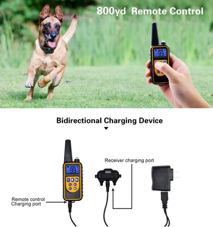 Waterproof Dog Training Collar – Safe and Effective