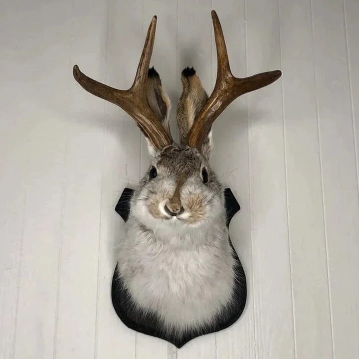 Whimsical Jackalope Head Mount on Rustic Wooden Display