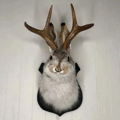 Whimsical Jackalope Head Mount on Rustic Wooden Display