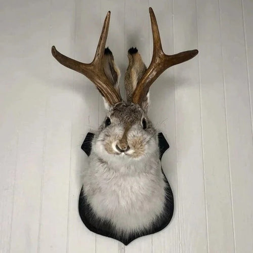 Whimsical Jackalope Head Mount on Rustic Wooden Display