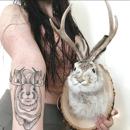 Whimsical Jackalope Head Mount on Rustic Wooden Display