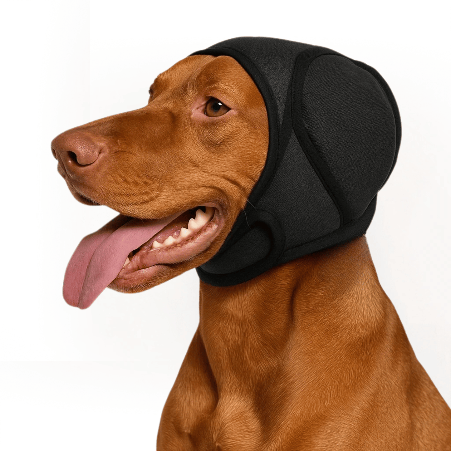 Water-Resistant Dog Ear Muffs for Stress Relief