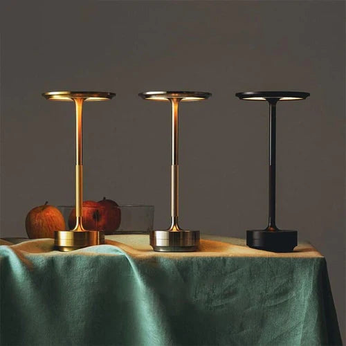 Taalita Ambi Light Fixture
