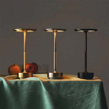 Taalita Ambi Light Fixture