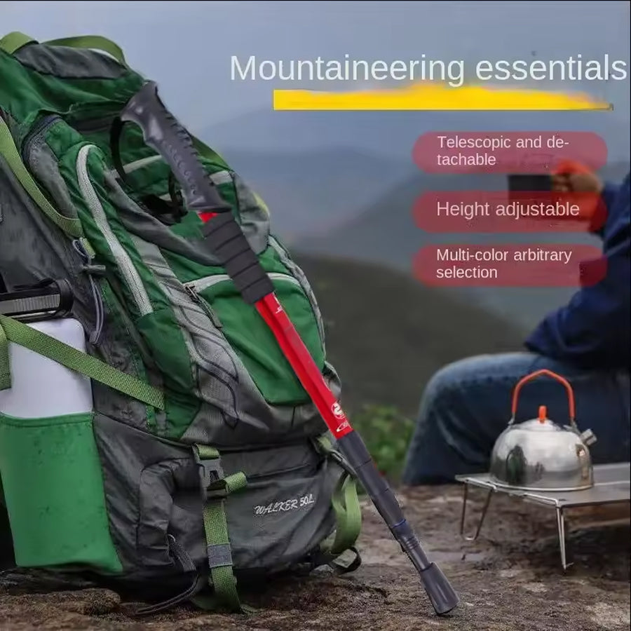 Hiking Poles for Trail Use