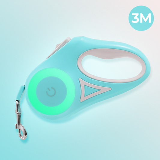 BrightLeash: Illuminated Dog Leash for Night Walks