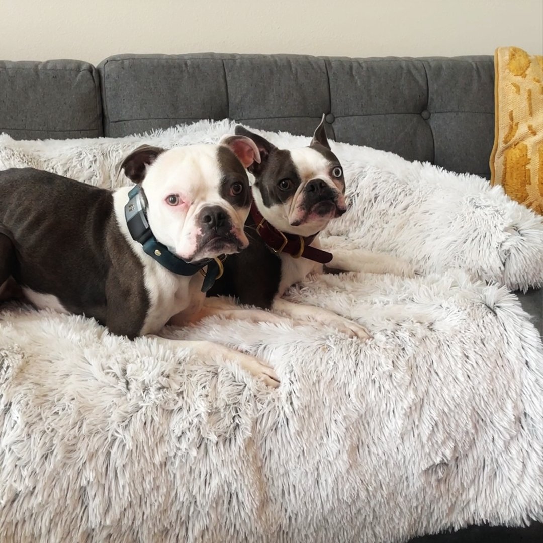 Washable, Warm, and Waterproof Autumn Cushion for Your Dog
