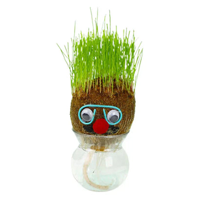 Lively Indoor Grass Buddy for a Fresh Home Atmosphere