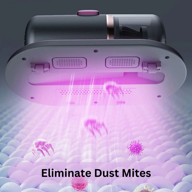 Vacuum Cleaner for Mattresses and Beds with UV-C Light